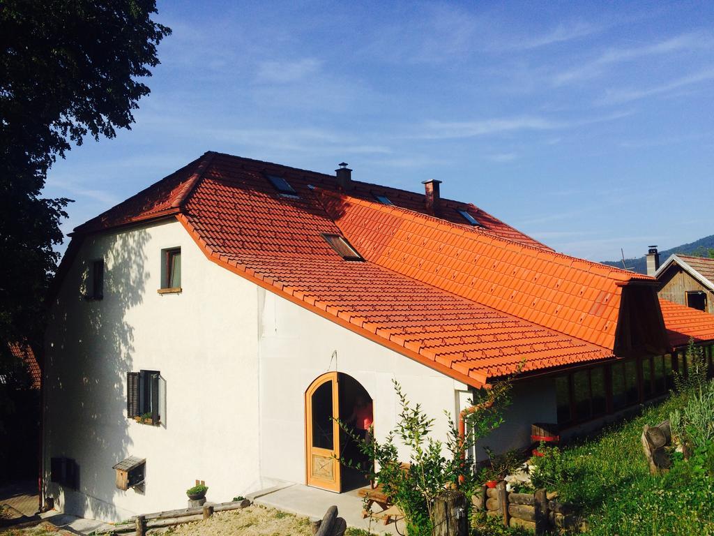 Turisticna Kmetija Toman Villa Gornji Grad Exterior photo