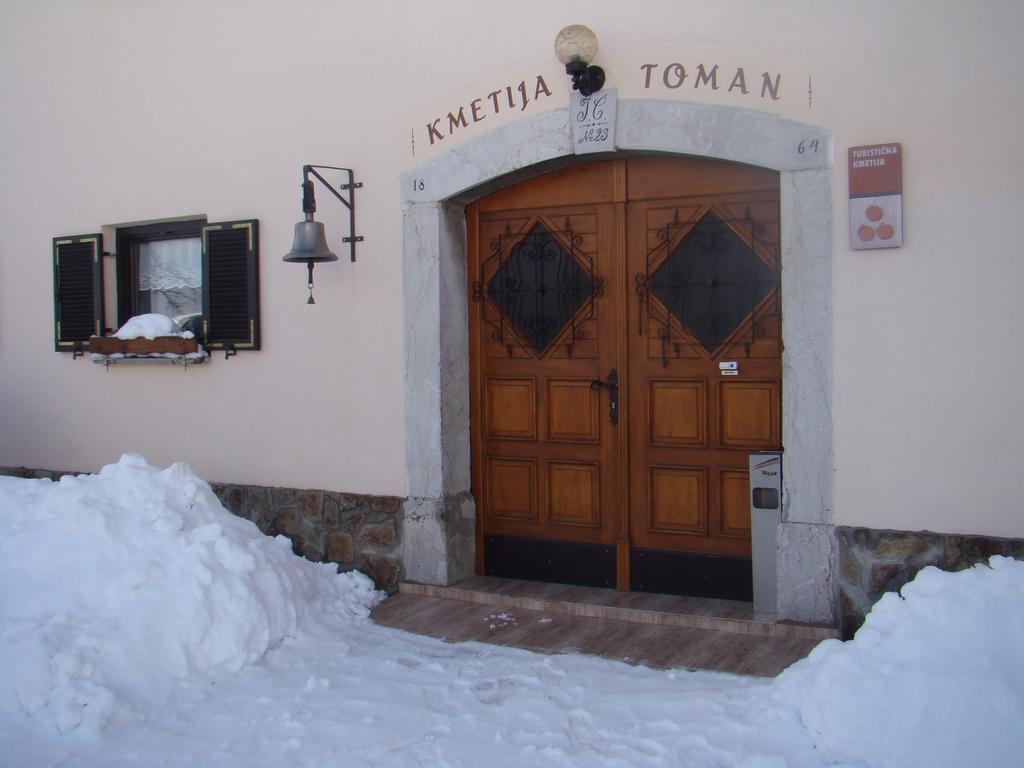 Turisticna Kmetija Toman Villa Gornji Grad Exterior photo