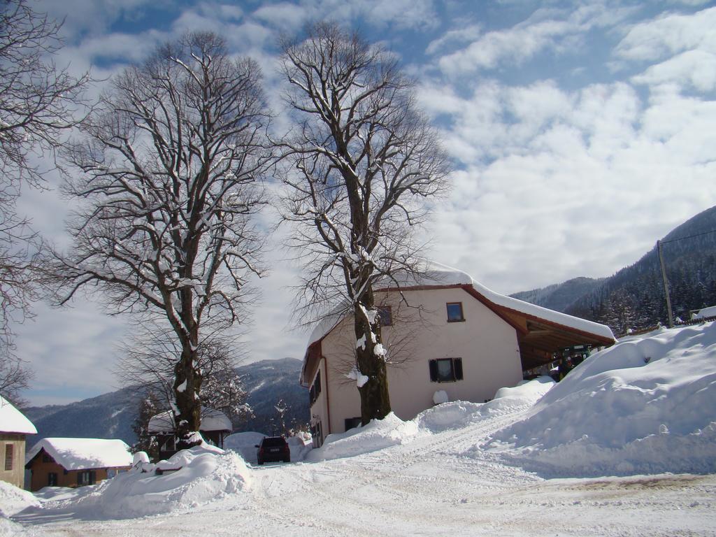 Turisticna Kmetija Toman Villa Gornji Grad Exterior photo