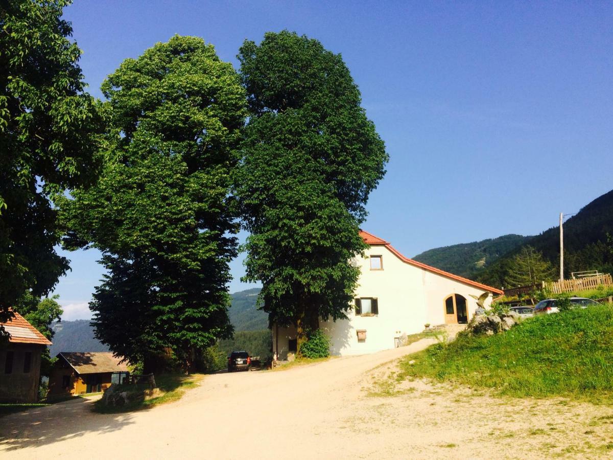 Turisticna Kmetija Toman Villa Gornji Grad Exterior photo