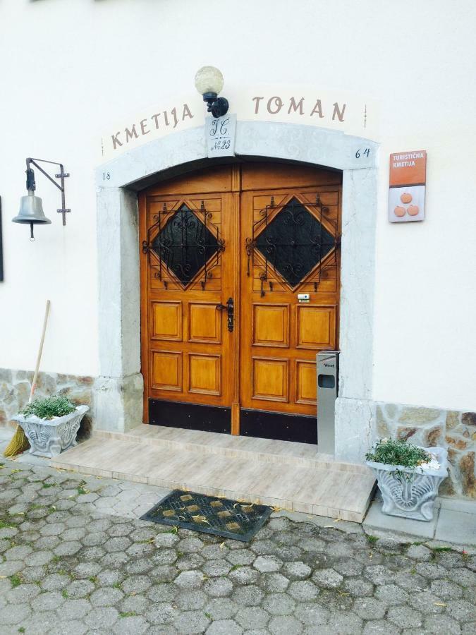 Turisticna Kmetija Toman Villa Gornji Grad Exterior photo