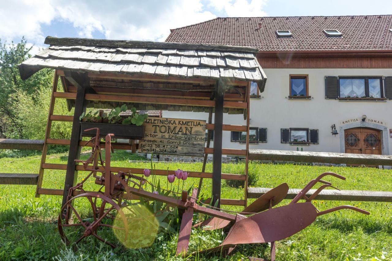 Turisticna Kmetija Toman Villa Gornji Grad Exterior photo