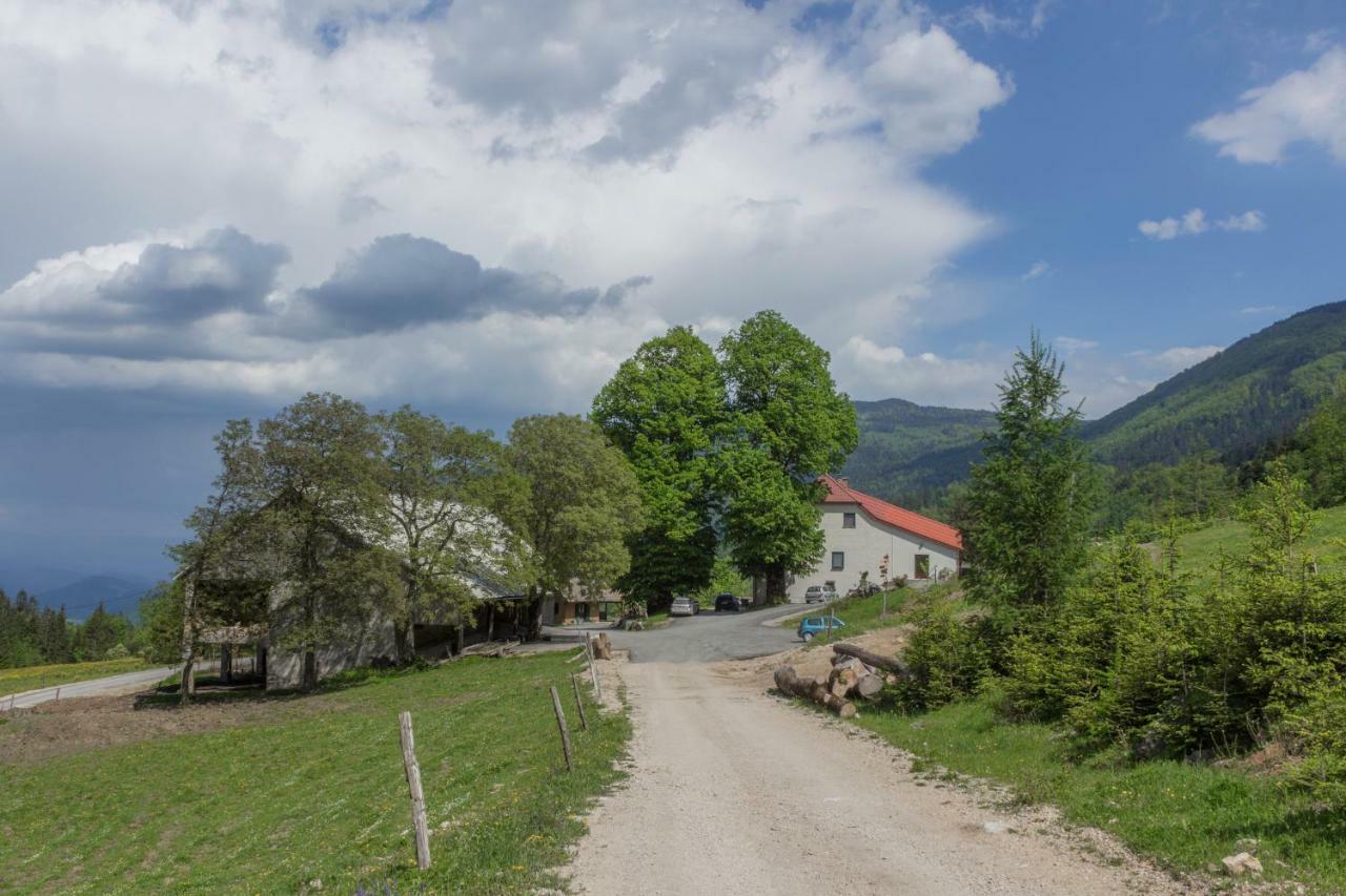 Turisticna Kmetija Toman Villa Gornji Grad Exterior photo