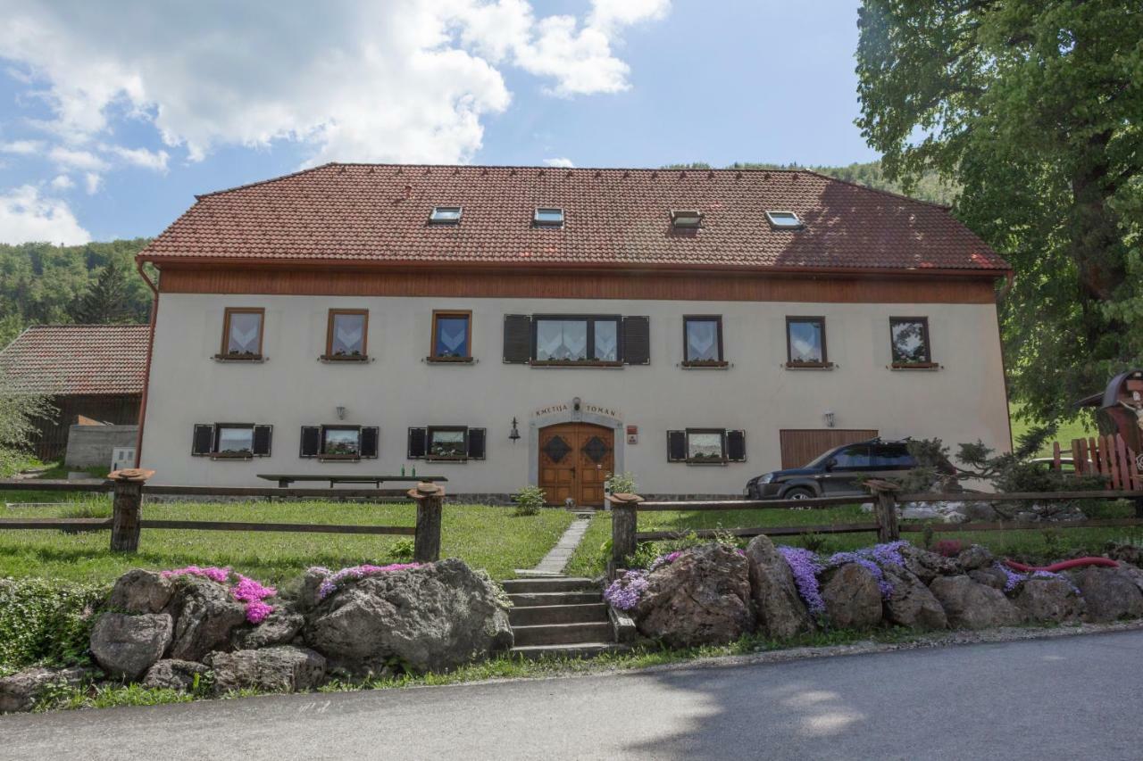 Turisticna Kmetija Toman Villa Gornji Grad Exterior photo